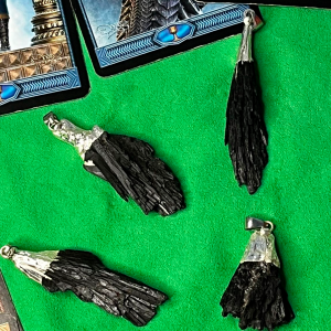 Escoba de Bruja (Cianita Negra)